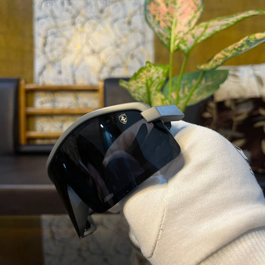 Ferrari FZ Matt Grey Colour Premium High Quality Sunglasses