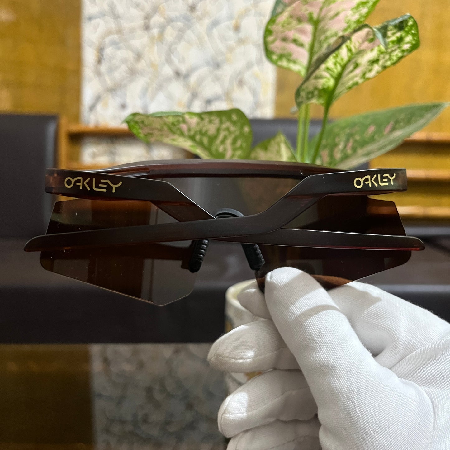 Hydra Brown Premium Unisex Sports Sunglass
